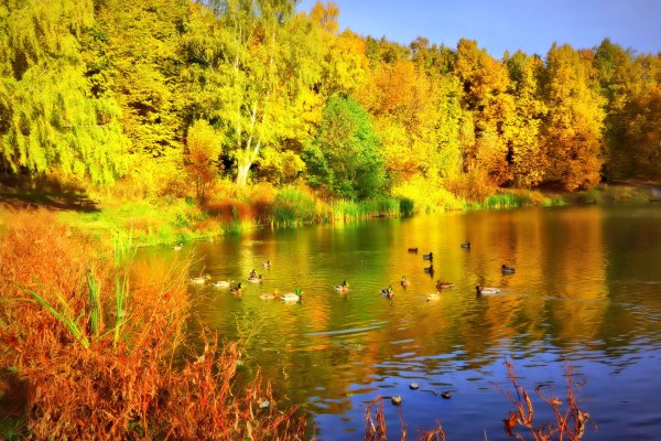 Солнечная осень