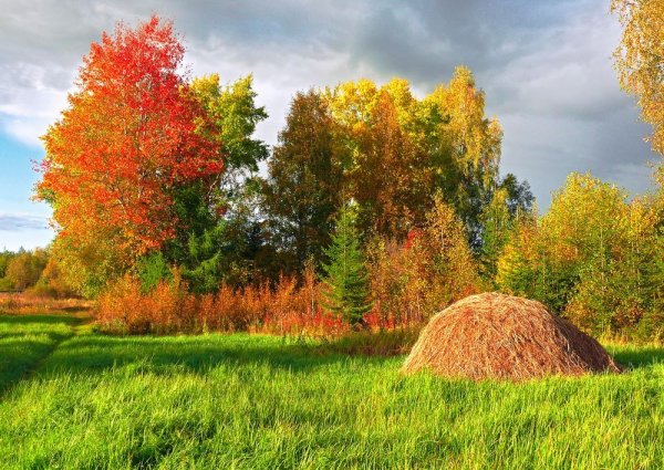 Осенний листопад