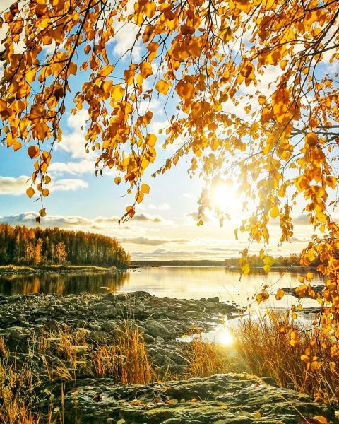 Пейзаж времена года