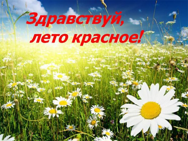 Лето наступило
