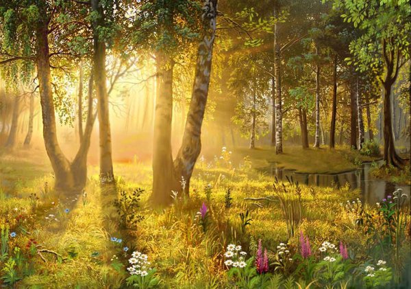 Красочное лето