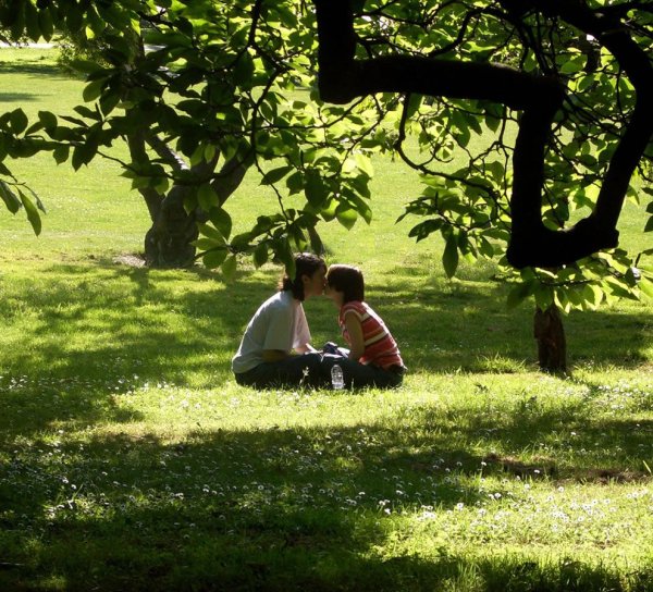 Море солнце счастье любовь