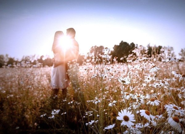 Саммер оф лав(Summer of Love)