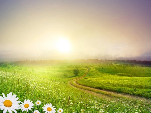 Солнечное лето