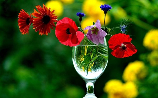 Чудесные цветы