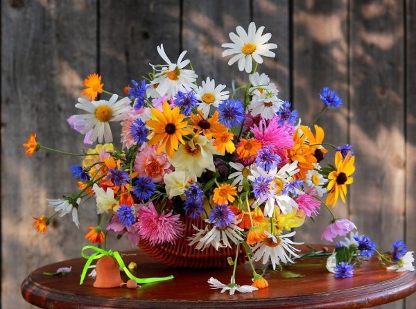 Роскошный букет полевых цветов