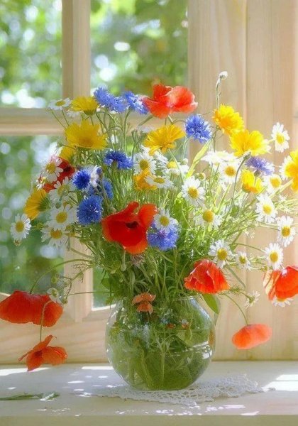 Природа солнце