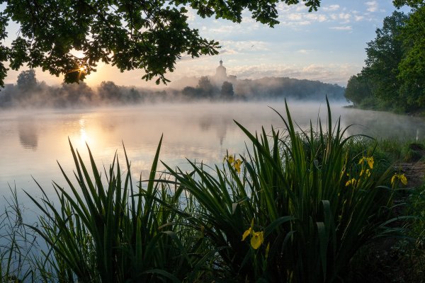 Летнее утро