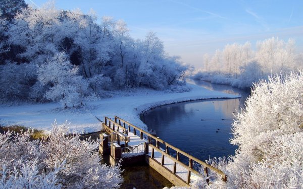 Коллаж зимний пейзаж