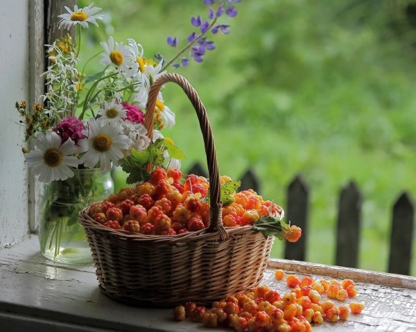 Утренние цветы