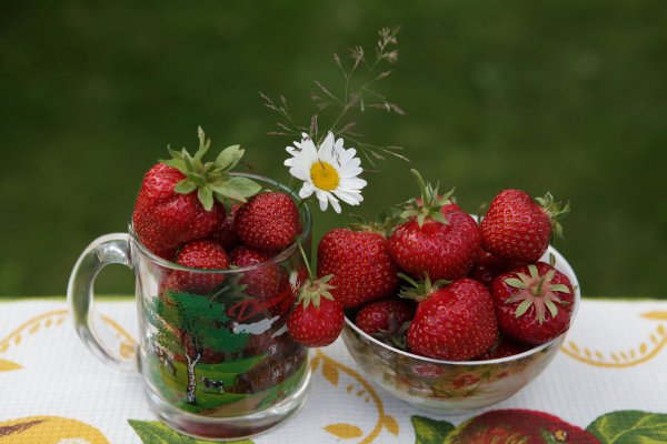 Шикарного летнего утра