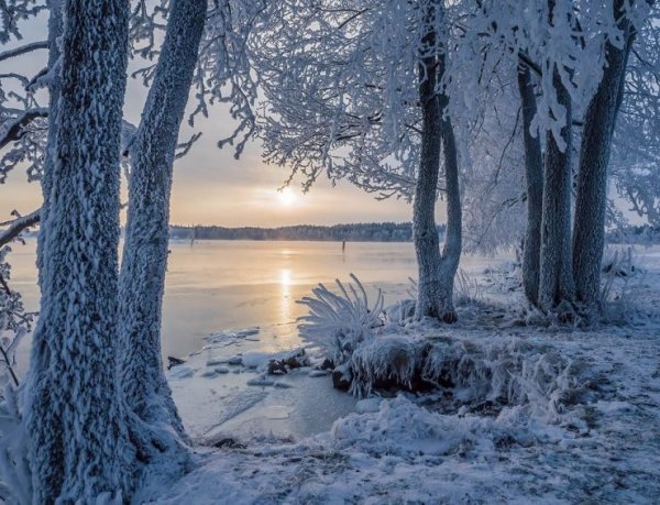 Времена года зима Весна лето осень