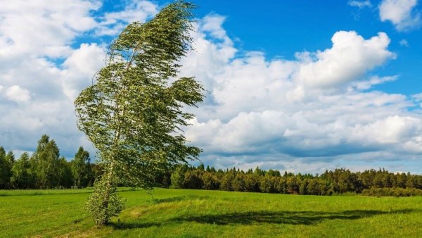 Усиление ветра 15-20 м/с