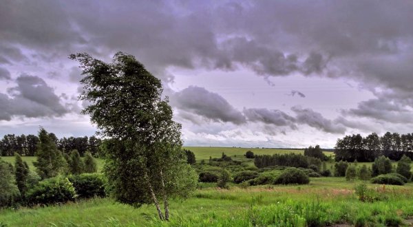 Сильный ветер