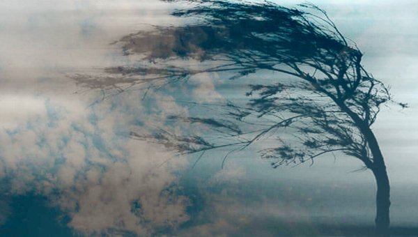 Ветер весной