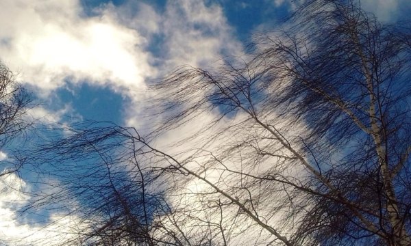 Шквалистое усиление ветра