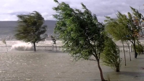 Женщина на ветру