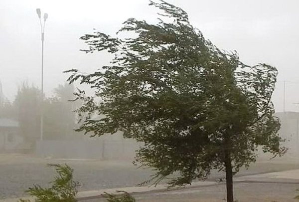 Сильный ветер