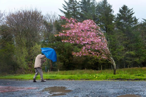 Сильный ветер