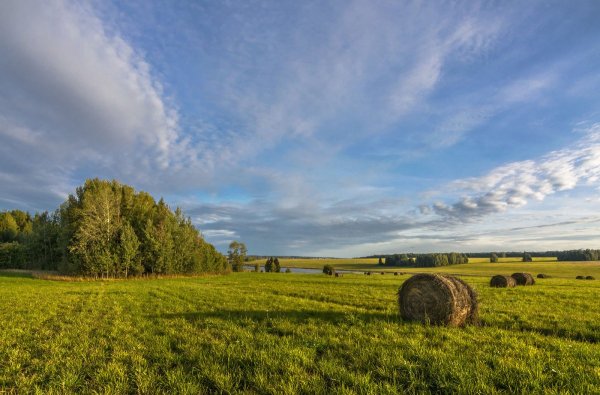 Пейзажи конец лета