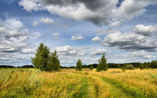 Красивые пейзажи августа