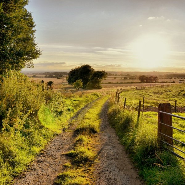 Летний пейзаж