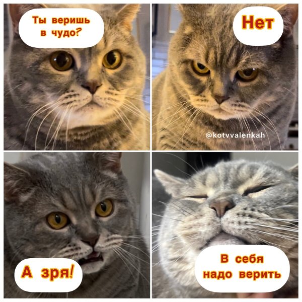 Лето ты где