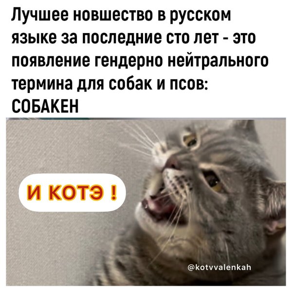 Август приколы