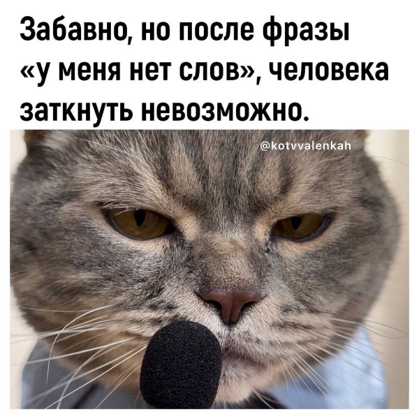 Анекдоты про лето в картинках