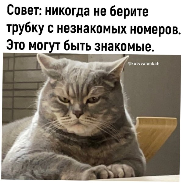Летний юмор в картинках