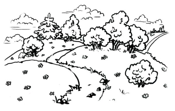 Лес раскраска для детей