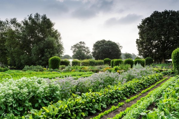 Садоводы и огородники