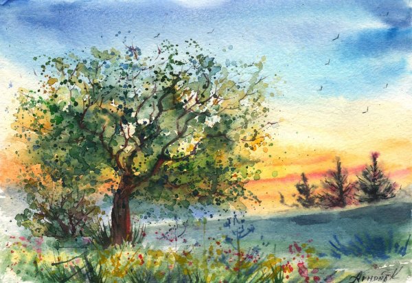 Анна Армона акварель