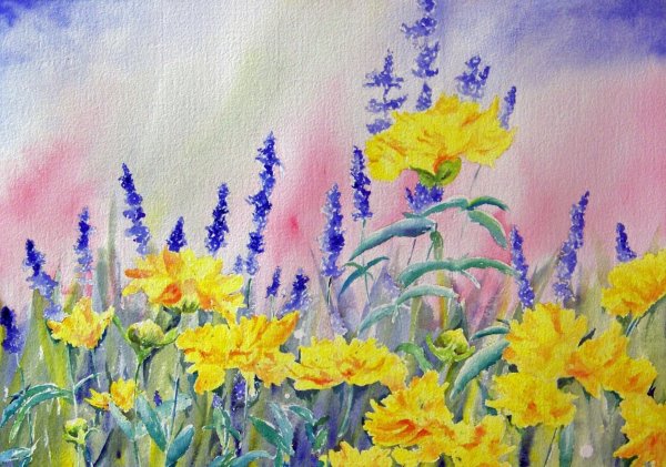 Pam Sackville художник