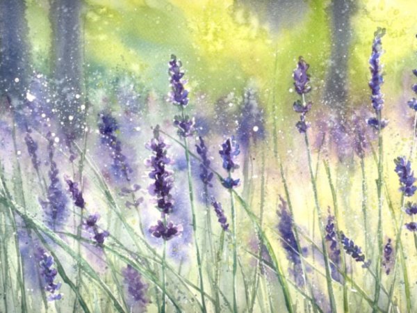 Мэри Дипнолл (Mary Dipnall)