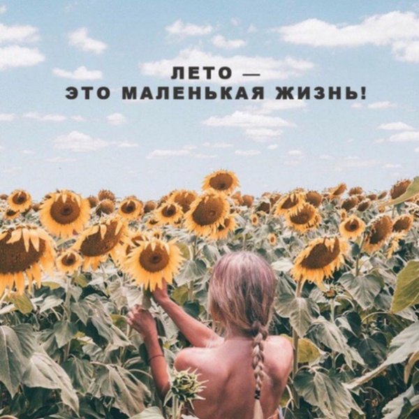 Лето - это маленькая жизнь