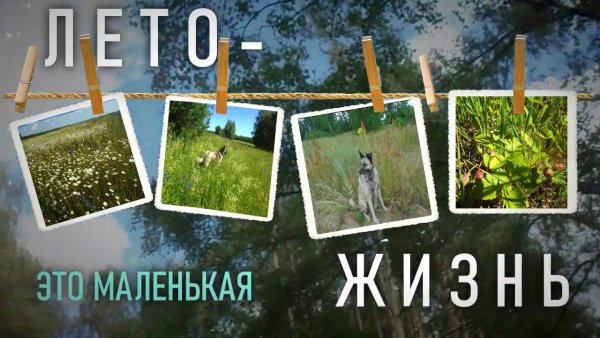 А Лео это маленькая жизнь