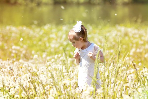 Лето - это маленькая жизнь