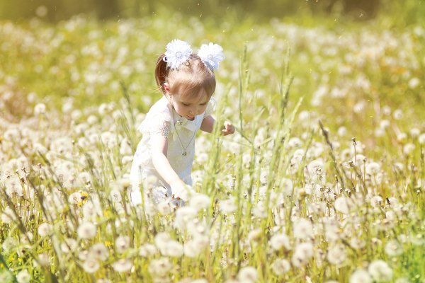Надпись лето это маленькая жизнь