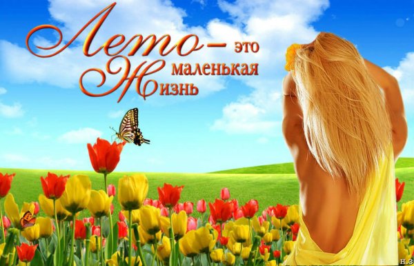 Лето это маленькая жизнь фото