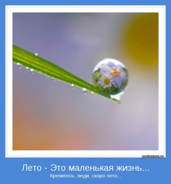 Лето - это маленькая жизнь
