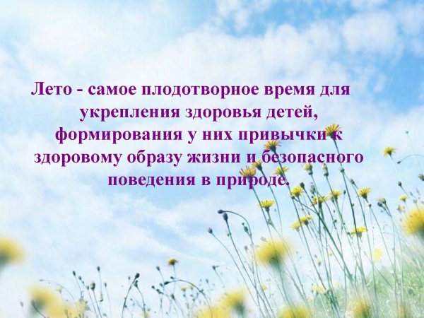 Лето - это маленькая жизнь