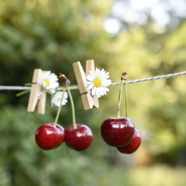 Лето это маленькая жизнь цитаты