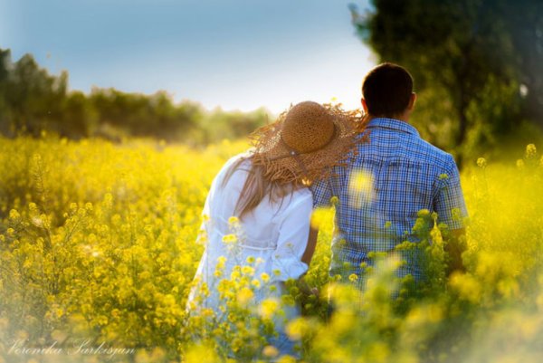 Картины художника Дональда Золана