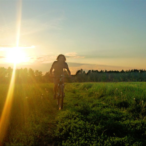 Летний фон для презентации