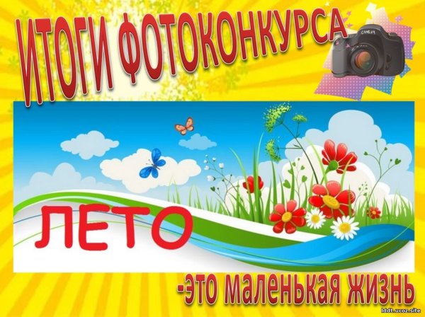 Лето - это маленькая жизнь