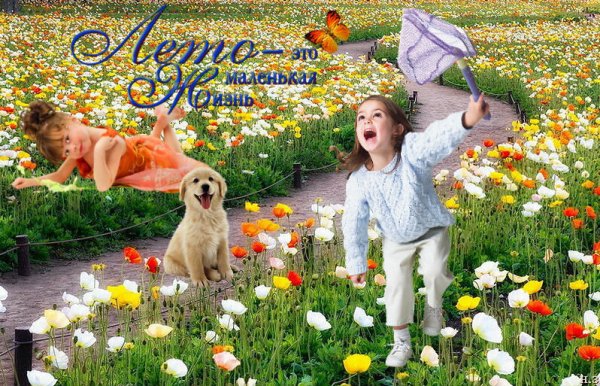 Дима Дмитриев Dima Dmitriev