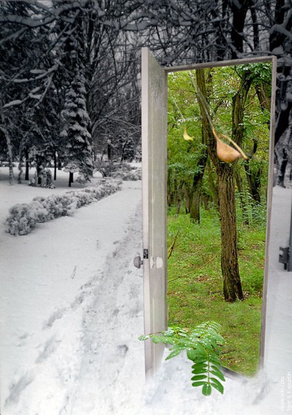 Калитка в сад