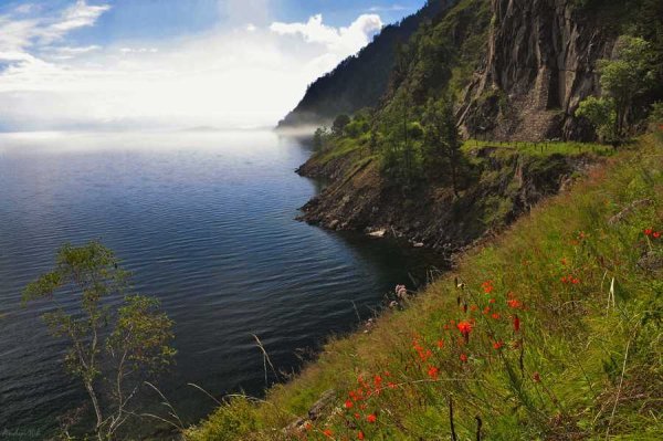 Берег озера Байкал
