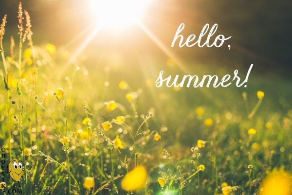 Солнечное лето надпись